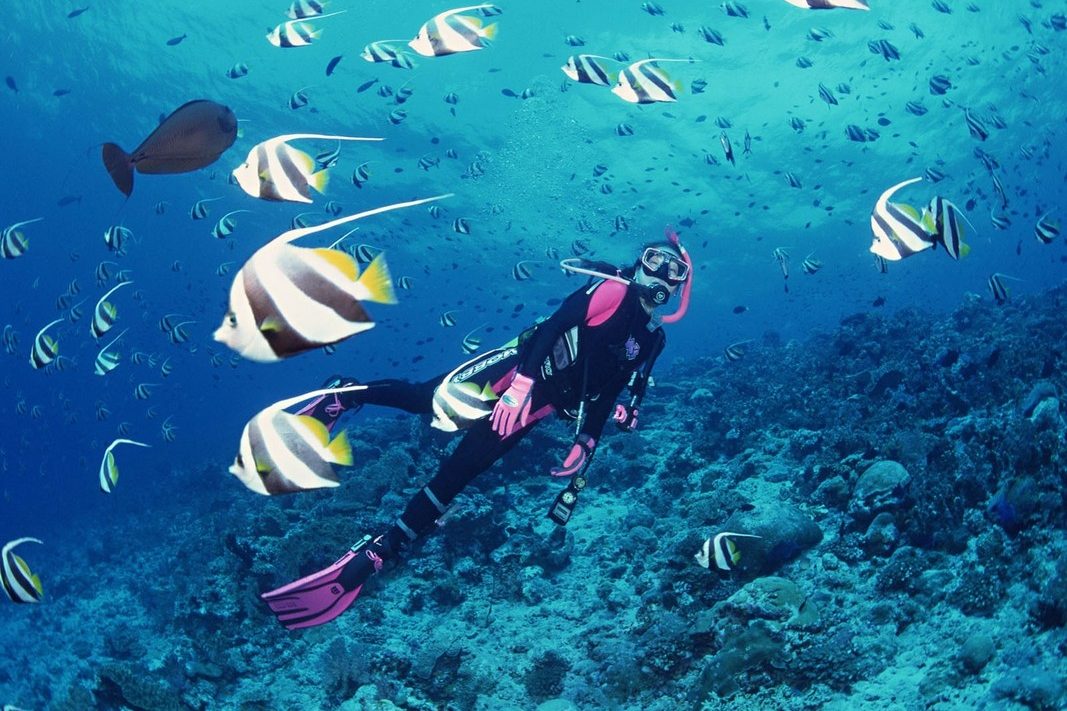 Diving