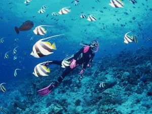 Diving
